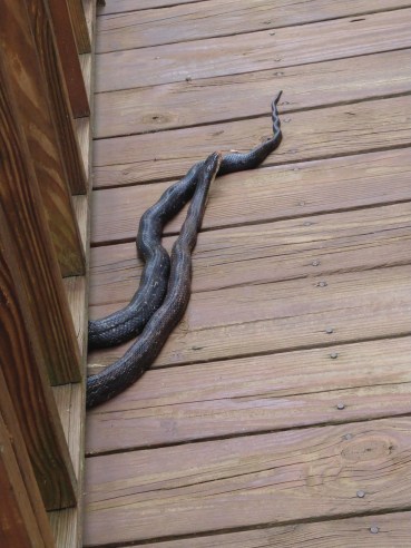 IMG_20180414_141414924