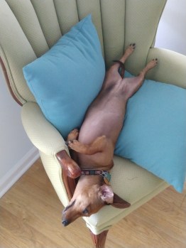 IMG_20180624_103932051