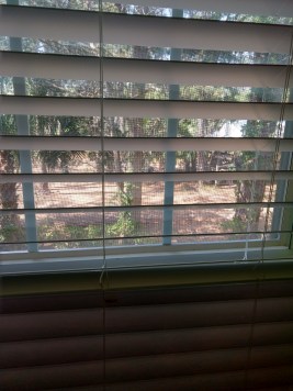 IMG_20190603_110723997_HDR