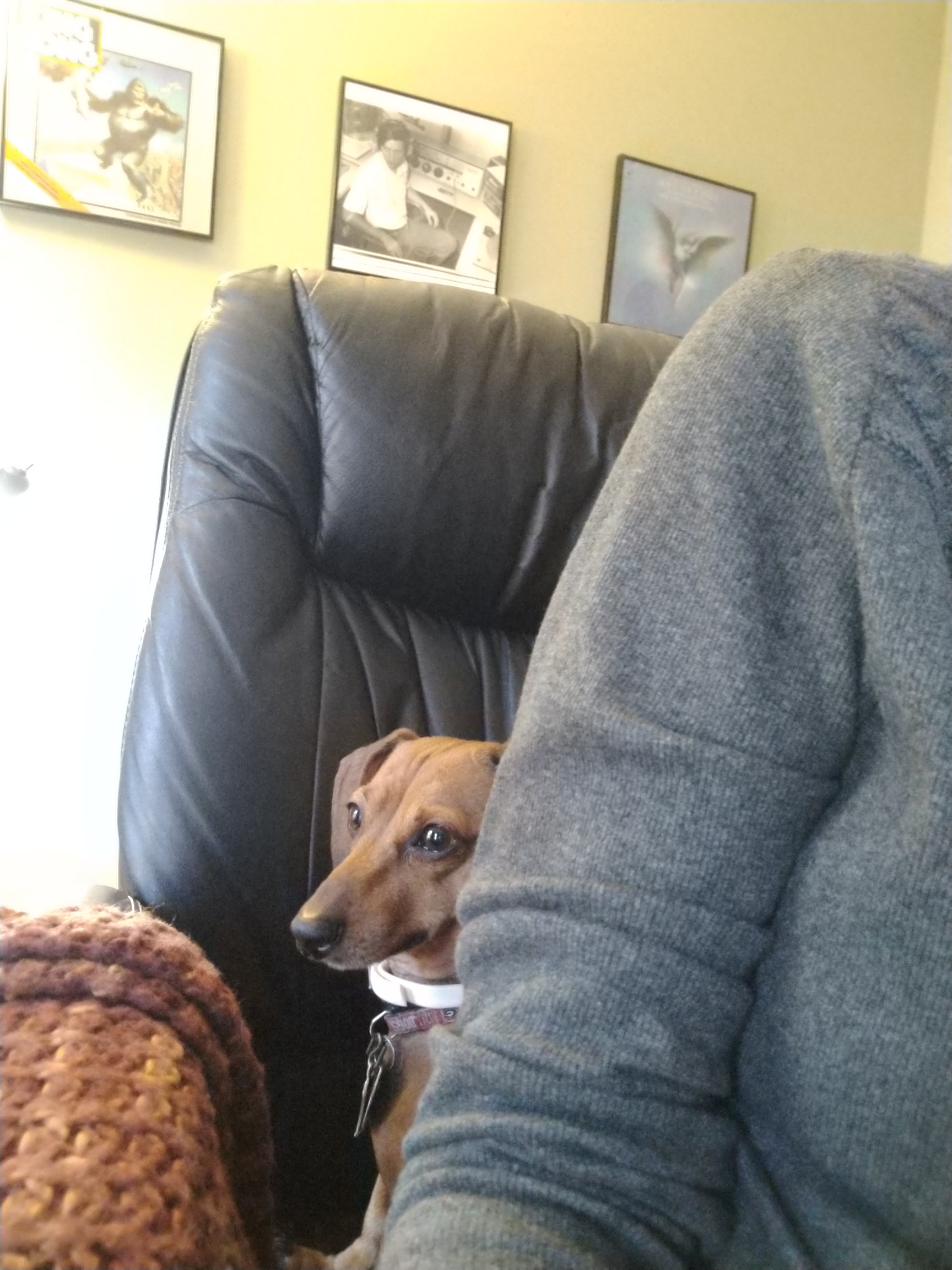 IMG_20191113_135133422